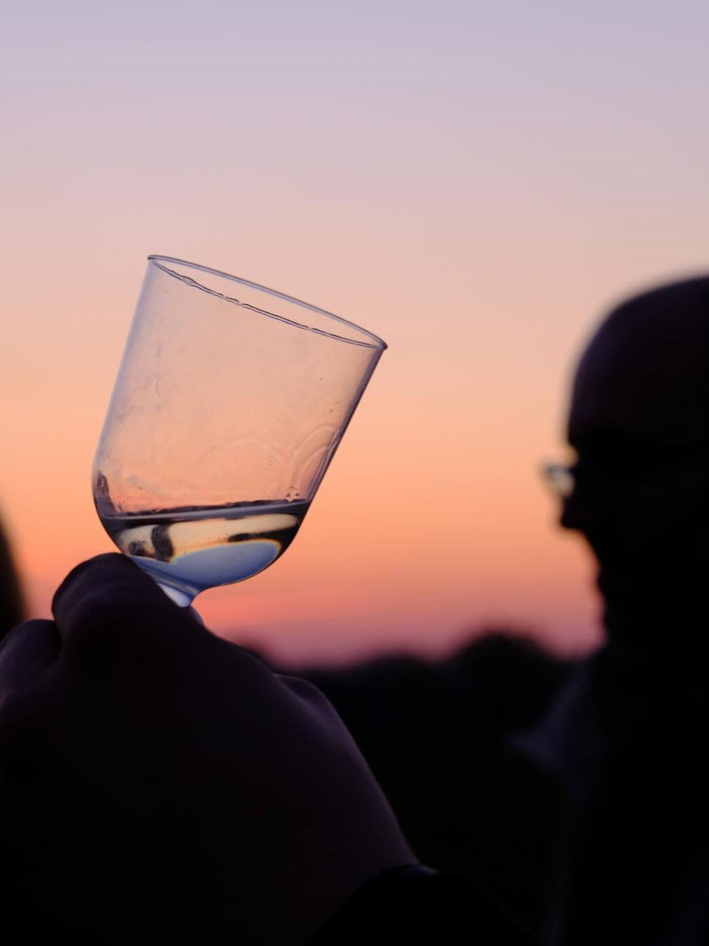 Cata bajo las estrellas